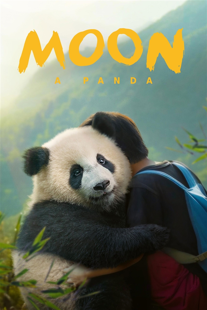 Moon, a panda